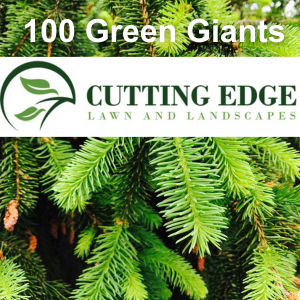 100 Green Giants Tree Planting Spring Hill, TN