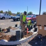 Crew member planting native shrubs in a commercial planting bed at Spring Hill Police Department landscaping site