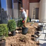 Cutting Edge Lawn and Landscapes team setting plants for low maintenance growth