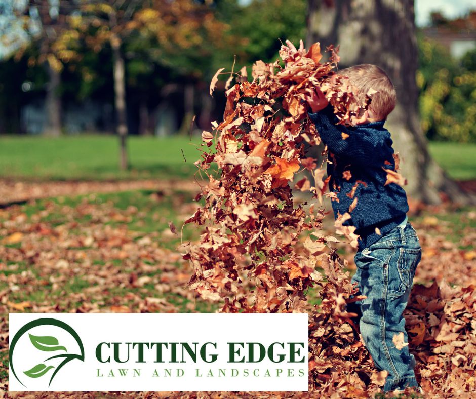 Child enjoying fall leaves in a yard before seasonal cleanup by Cutting Edge Lawn and Landscapes in Columbia, TN.