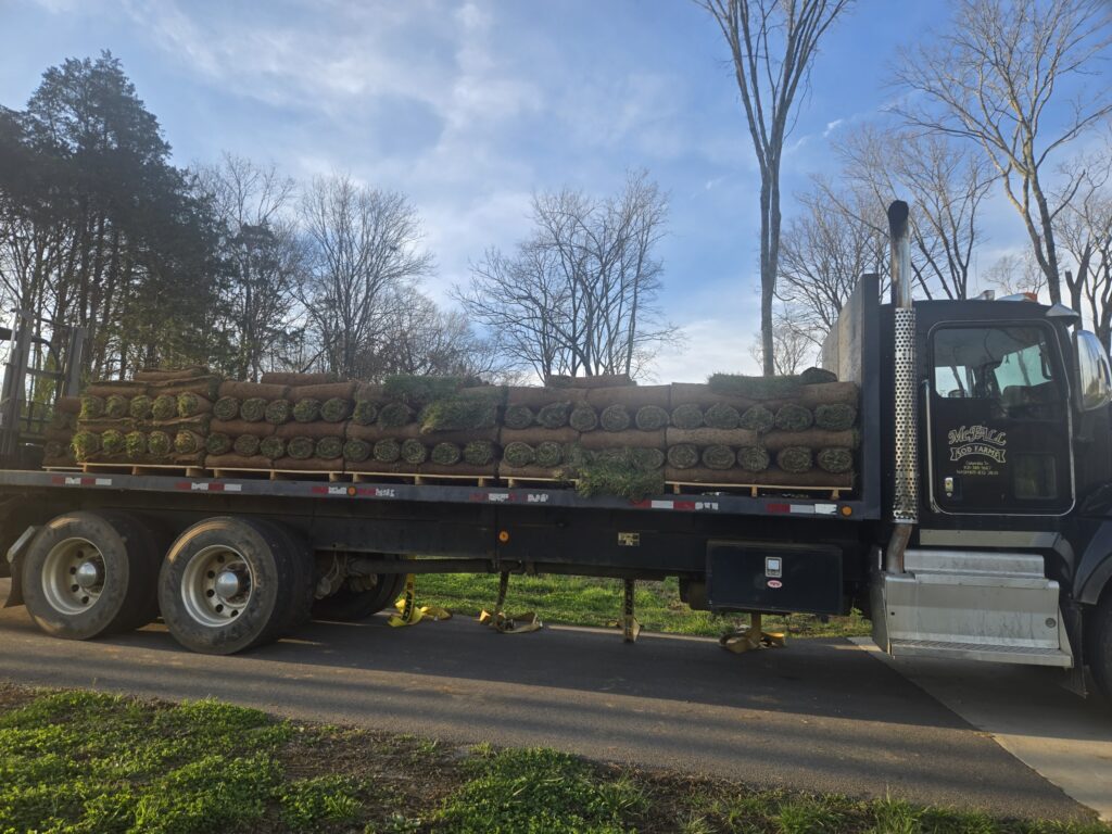 fresh sod delivery in Columbia TN stacked rolls ready for lawn installation