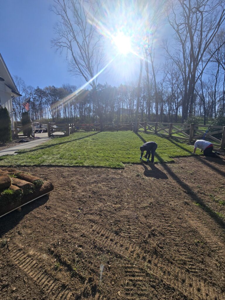 sod installation in Columbia TN workers laying fresh grass for new lawn